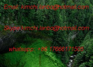 Cina GGA-3016-014 komori original parts komori coating parts fornitore