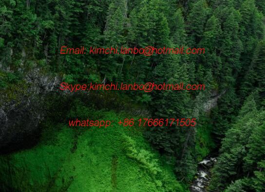 Cina 764-3309-701 komori gripper 764-3309-71H komori original spare parts fornitore